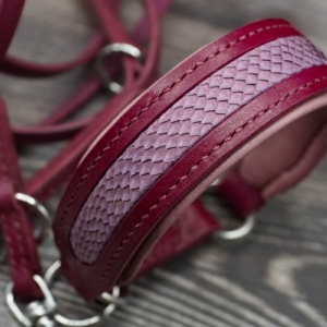 Lederhalsband mit Fischleder
