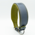 Hundehalsband aus Leder