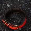 Track und Trail Halsband