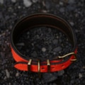 Track und Trail Halsband