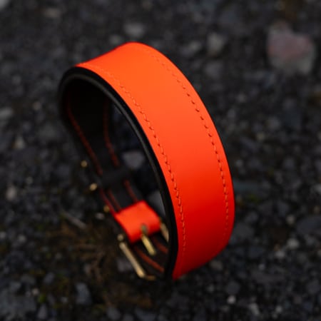 Track und Trail Halsband