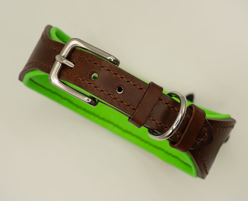 Handgefertigtes Hundehalsband aus Leder mit meongrünem Fischleder-Inlay