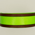Handgefertigtes Hundehalsband aus Leder mit meongrünem Fischleder-Inlay