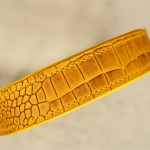 Hundehalsband Bumblebee