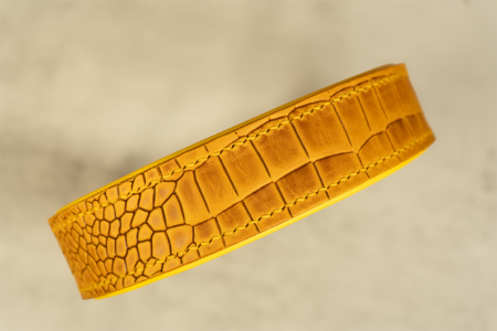 Hundehalsband Bumblebee