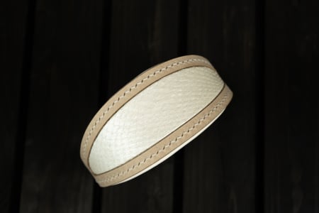 Hundehalsband Frosty