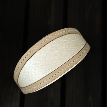 Hundehalsband Frosty