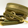 Halsband- Leinen Set