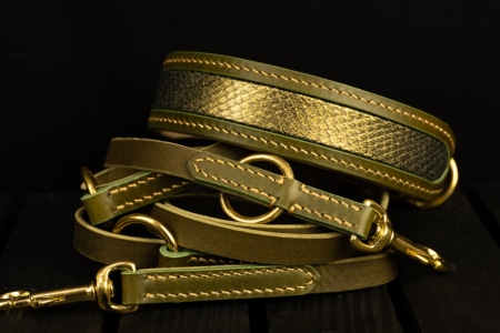 Halsband- Leinen Set