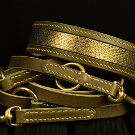 Halsband- Leinen Set