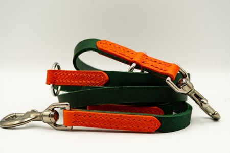 Lederleine FoxForest