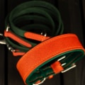 Hundehalsband FoxForest