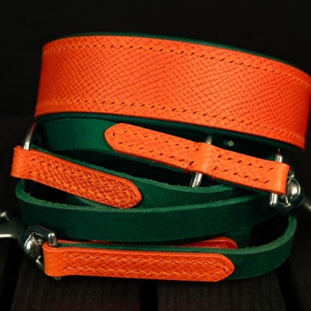 Halsband Leinen Set FoxForest