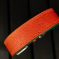 Hundehalsband FoxForest