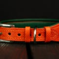 Hundehalsband FoxForest
