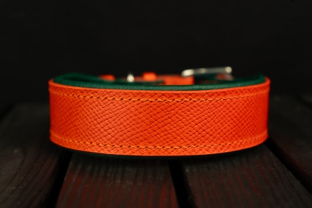 Hundehalsband FoxForest