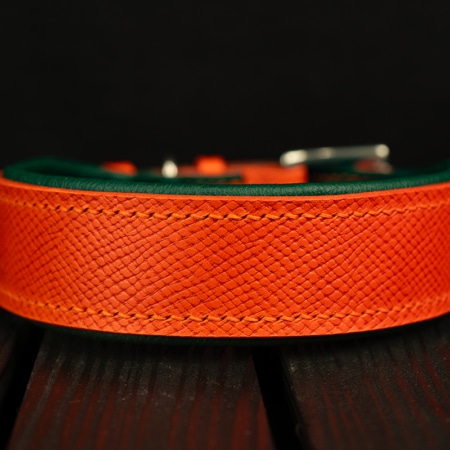 Hundehalsband FoxForest