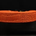 Hundehalsband mit Krokoprägung