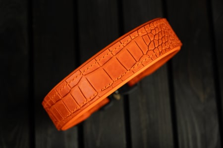 Hundehalsband mit Krokoprägung