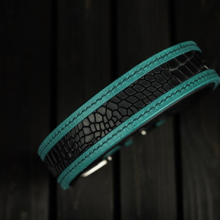 Hundehalsband Nachtschatten