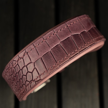 Hundehalsband mit Kroko