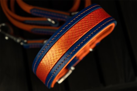 Bonfire Hundehalsband