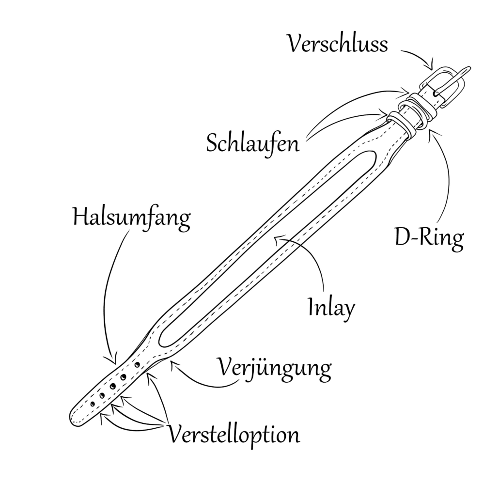 Halsbandaufbau