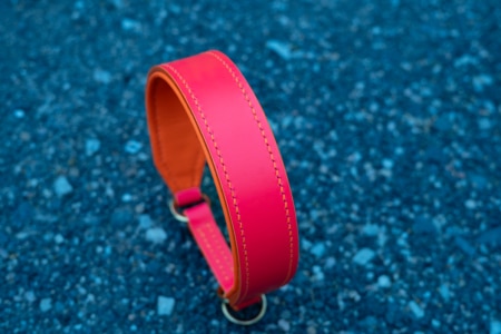 The Halo Hundehalsband