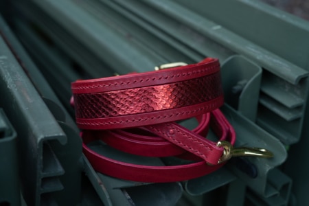 Hundehalsband mit Leine Inferno