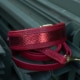 Hundehalsband mit Leine Inferno