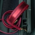 Hundehalsband mit Leine Inferno